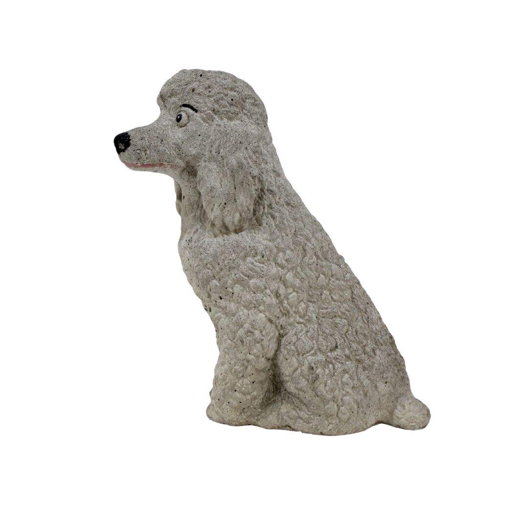 concrete poodle