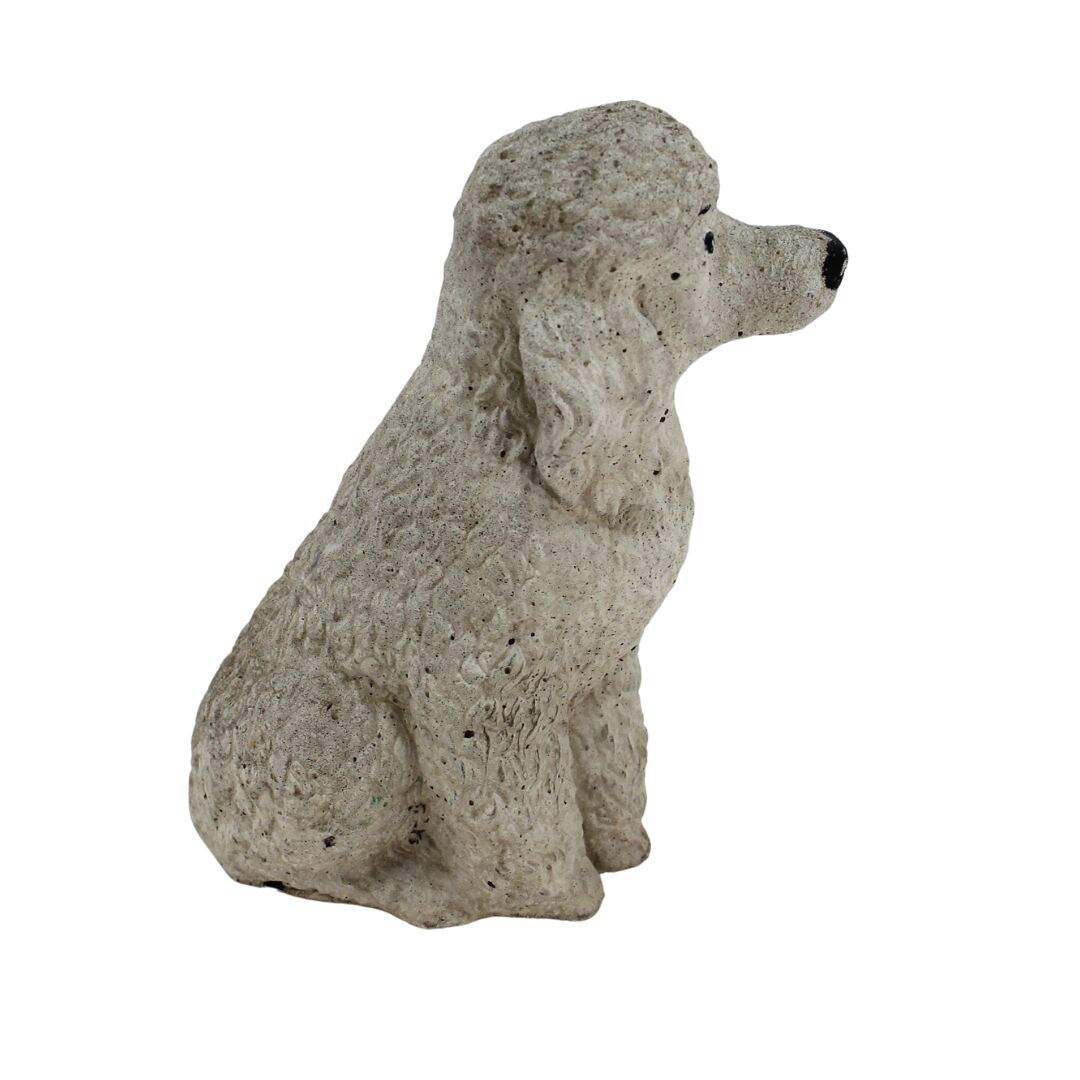 concrete poodle