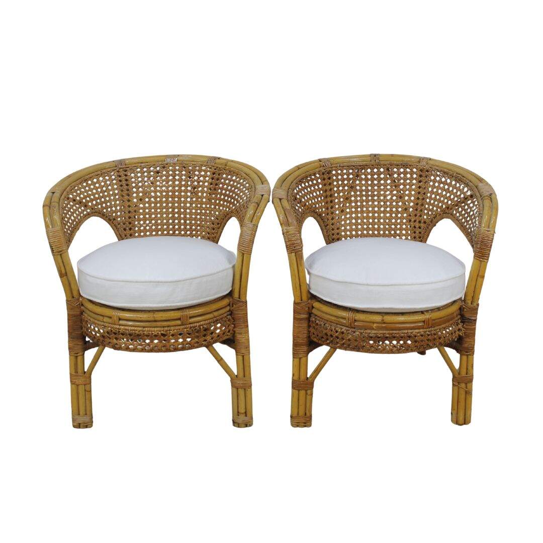 Pair of caned rattan tub chairs