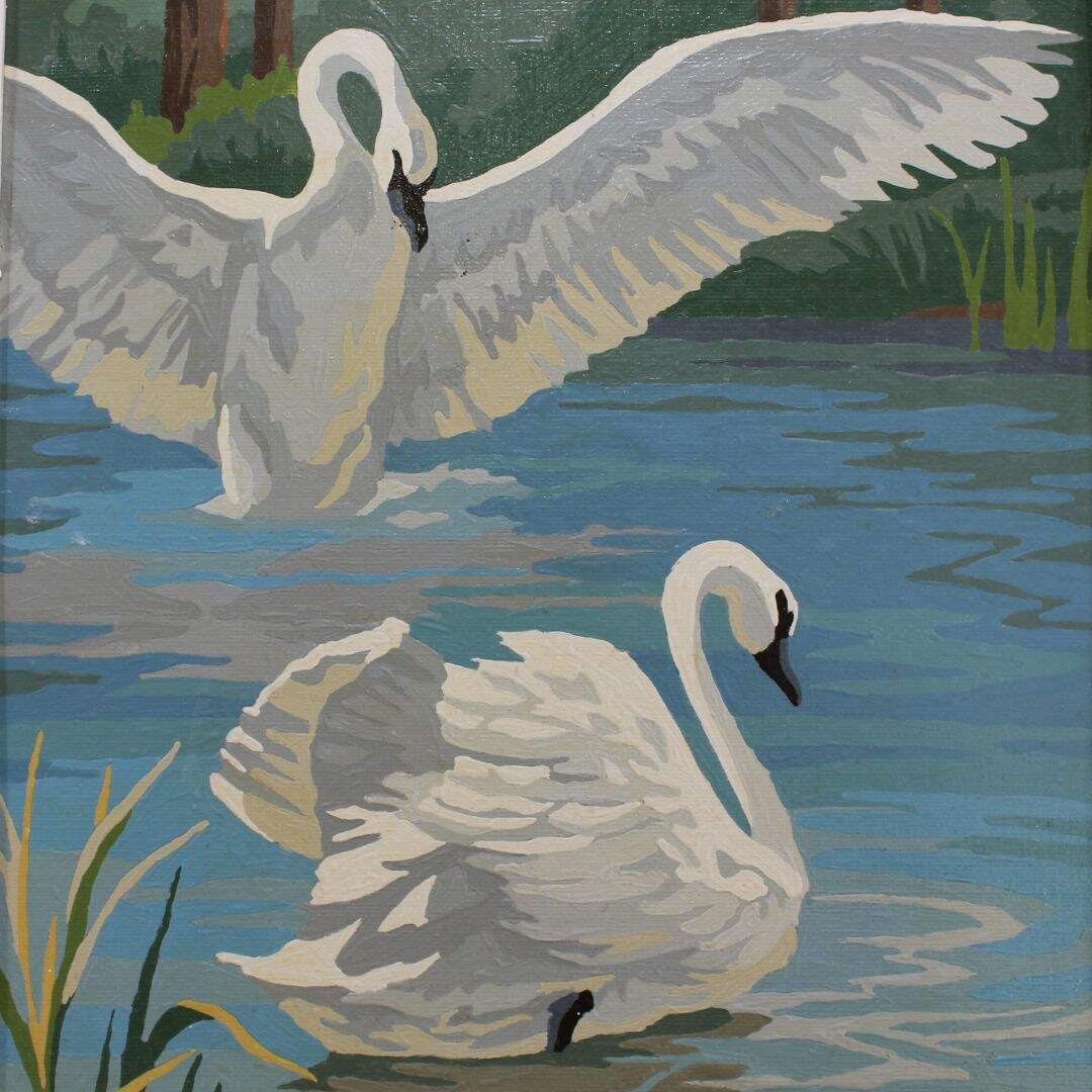 Pair of swan and crane paint by numbers paintings