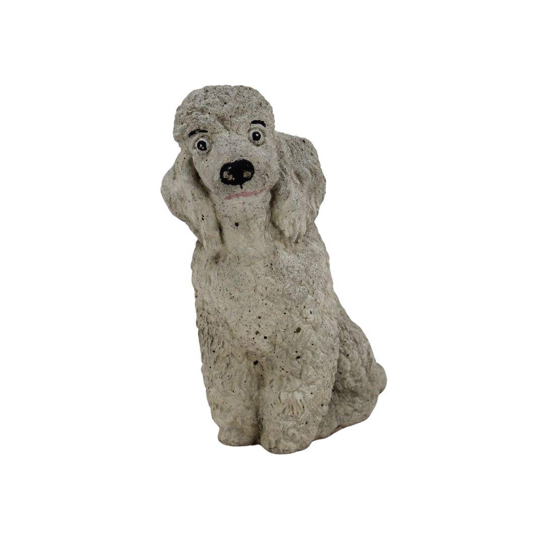 concrete poodle