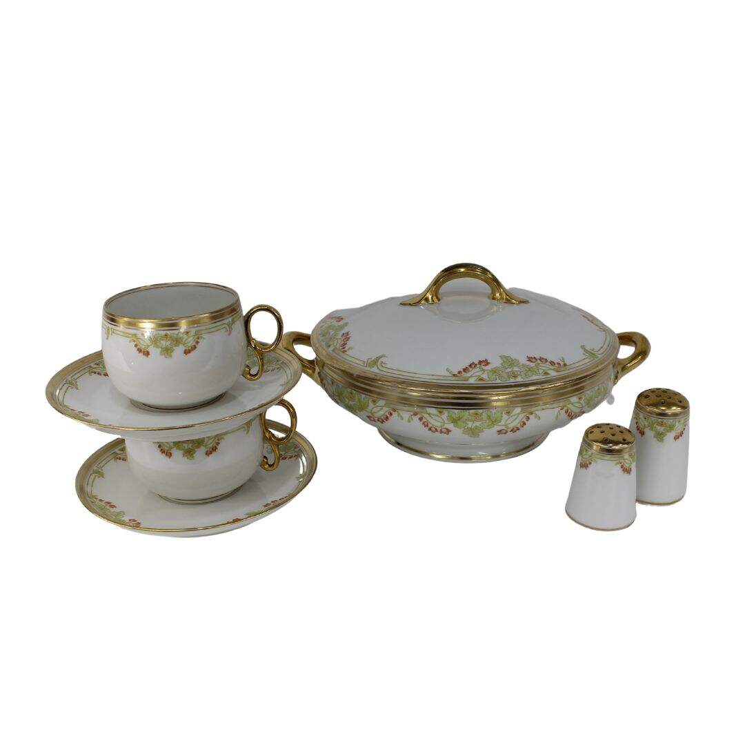 Pieces of Limoges dinnerware