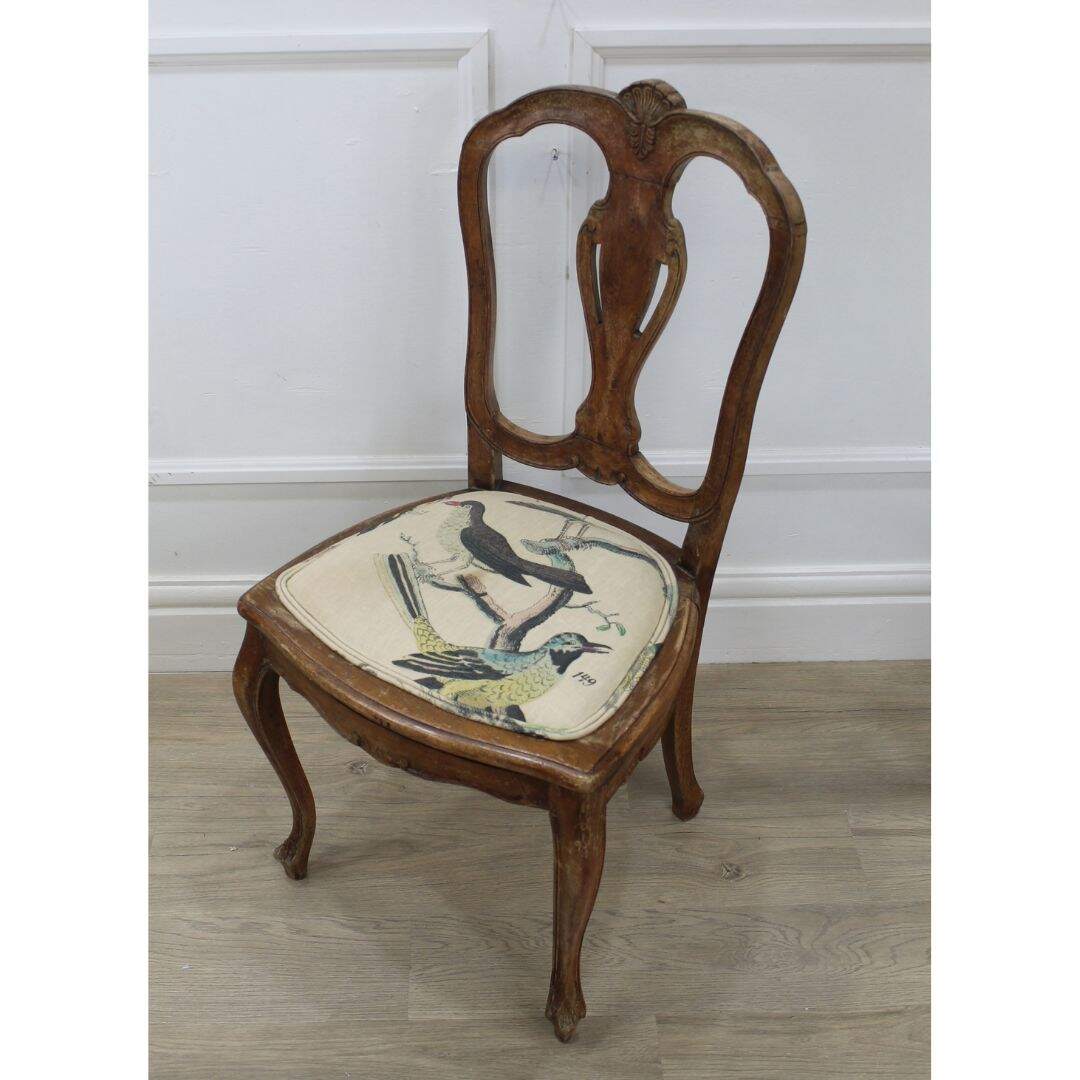Pair of delicate chairs with bird print